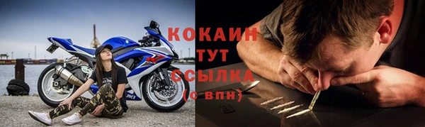 мет Каменка