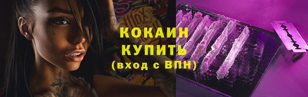 гашик Инсар