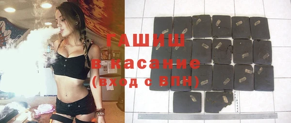 прущие грибы Инта