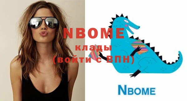 прущие грибы Инта