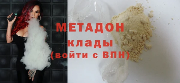 прущие грибы Инта