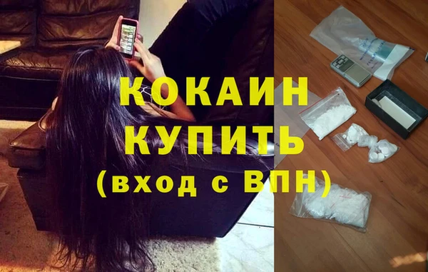мет Каменка