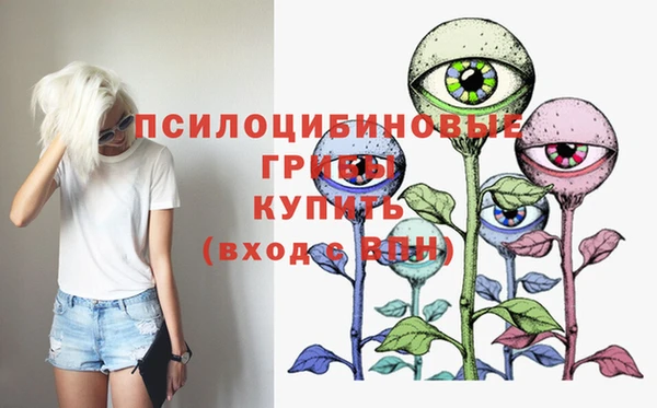 прущие грибы Инта