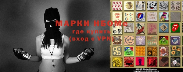 прущие грибы Инта