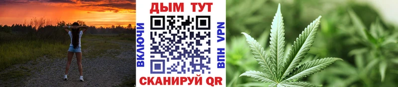 Канабис ГИДРОПОН  Кимры 
